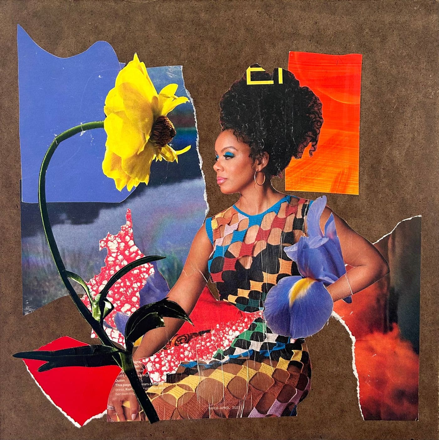 Soul Collage (No.5)