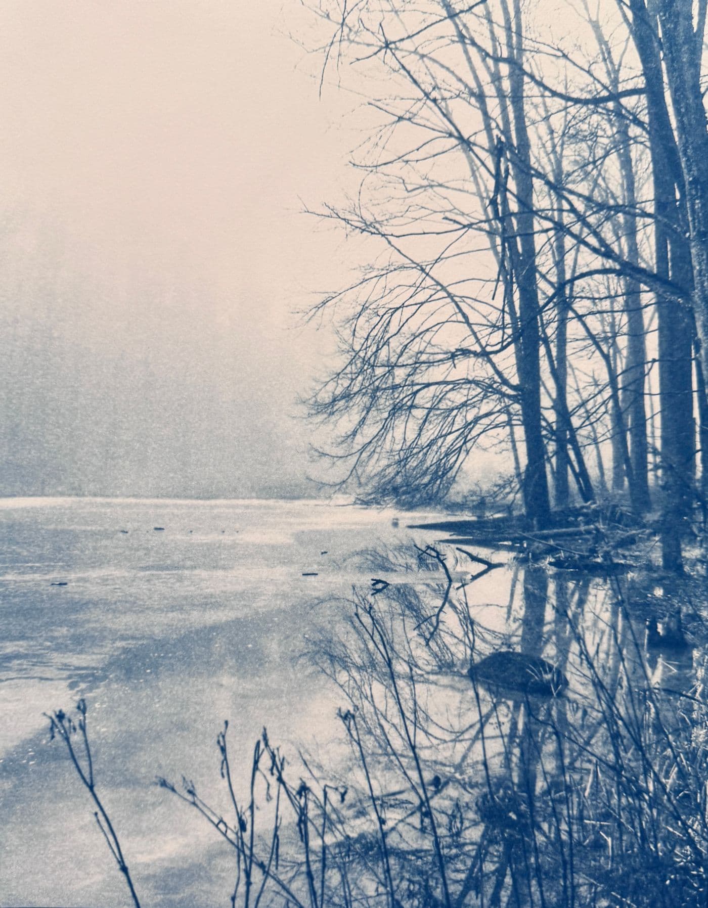 Misty Morning